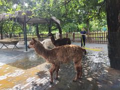 -西安秦岭野生动物园