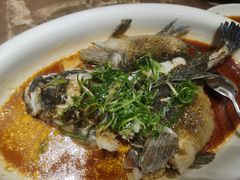 -骏丰酒楼(黄编店)