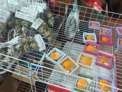 -蓝湾碧波·老字号·疍家非遗海上餐厅