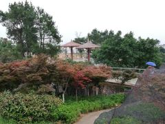 -铁山坪森林公园