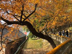 -潭柘寺景区