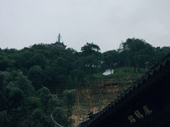 -焦山风景区