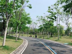 -牛岗山公园