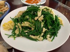 -范记靖远羊羔肉(博物馆店)