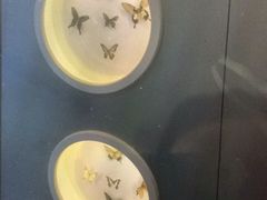 -下渚湖国家湿地公园科普馆