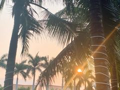 -三亚海棠湾万丽度假酒店