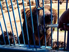 -鄂尔多斯野生动物园