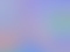 -约翰·菲茨杰拉德·肯尼迪国际机场