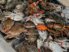 -东戴河风景区-止锚湾