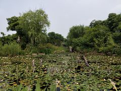 -嬉乐湾休闲旅游区