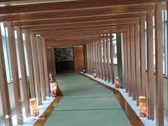 -重庆南山海昌汤都