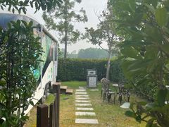 -东平国家森林公园