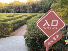 -大屏嶂森林公园