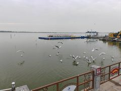 -包头南海湿地景区