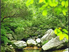 -日照海滨国家森林公园