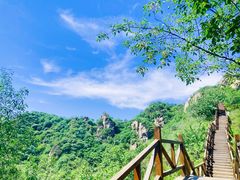 -大岭沟猕猴桃谷风景区