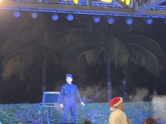 -渔家火锅·海鲜自助餐·演艺(亚龙湾天域酒店)