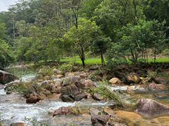 -广州白江湖森林公园