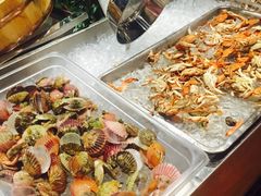 -大连金石滩绿发温泉假日酒店
