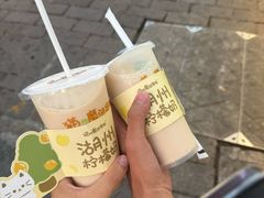 -猫的魔法密林(衣裳街店)