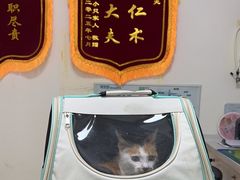 -美联众合24小时·皮肤科·外科·全科诊疗中心(华苑分院)