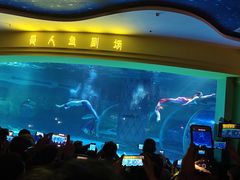 -西双版纳原始森林公园