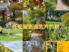 -观澜小洱海