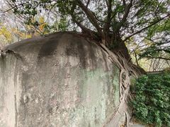 -草庵摩尼教遗址公园