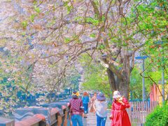-红星桥(地铁站)