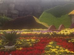iphone_upload_pic-迎泽公园