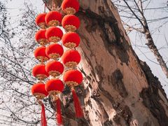 -武昌江滩