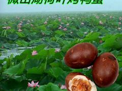 微山湖红心咸鸭蛋-微山湖湖畔好客居鱼馆渔家菜(微山湖风景区店)