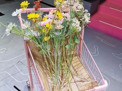 -汤泉良子(金源店)