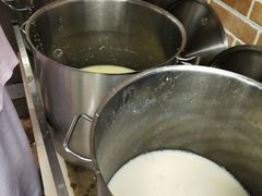 -净行天厨(莲塘总店)