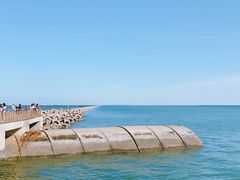 -东疆建设开发纪念公园