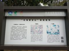 景点-聚龙山公园