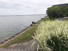 -上海滴水湖皇冠假日酒店