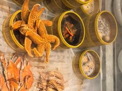 -川骄海鲜自助(亚运村店)