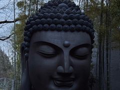 -杭州植物园