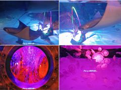 -沈阳海洋探索中心