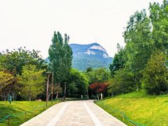 -佛慧山