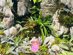 -国家植物园南园