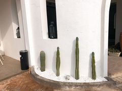 -柒月北岸民宿(西山店)