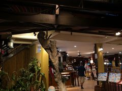 -卷心菜和避孕套餐厅(Pattaya)