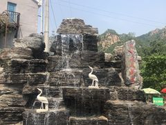 -大岭沟猕猴桃谷风景区