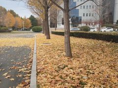 -中国石油大学（北京）(北京西校区)