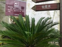 -仙霞关景区