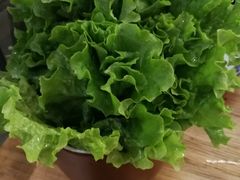 -十六蒲(桂林路店)