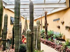 -正佳雨林生态植物园