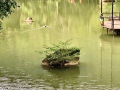 -呀诺达热带雨林